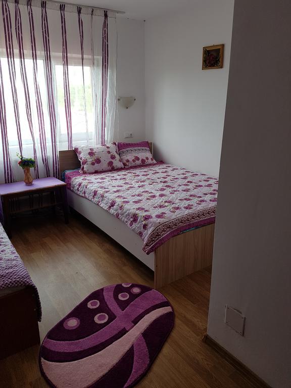 Casa Rustica Apart & Rooms Cimpineanca Ngoại thất bức ảnh