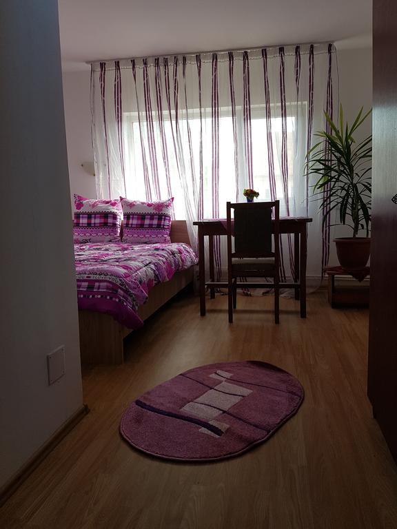 Casa Rustica Apart & Rooms Cimpineanca Ngoại thất bức ảnh